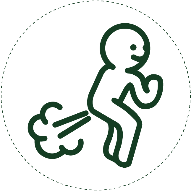 Helps relieve bloating and abdominal gases