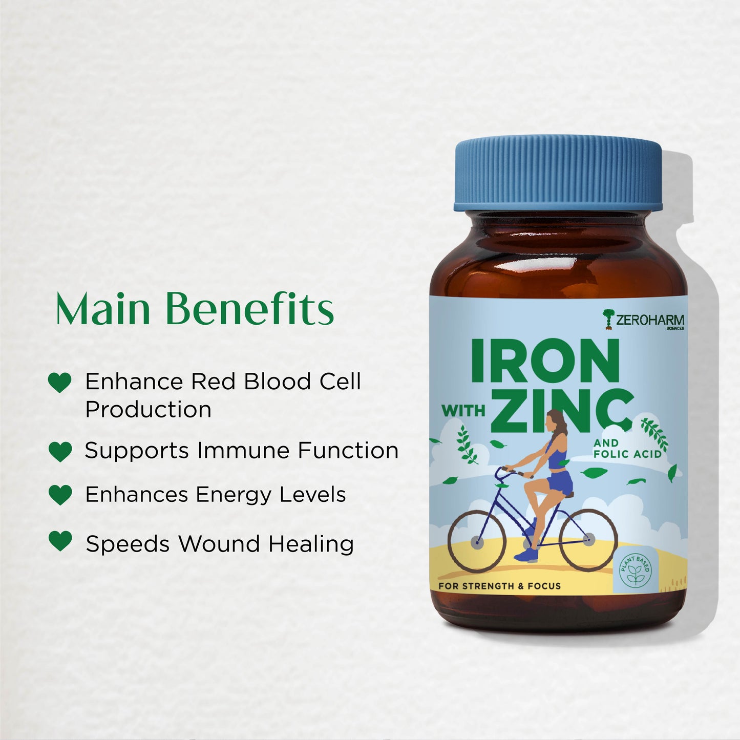 Iron Zinc Folic Acid Vitamin B12 Tablets
