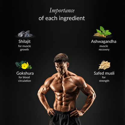 Nano Himalayan Shilajit With Ashwagandha Supplements