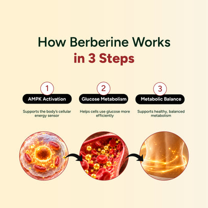 Holistic Berberine Complete Blood Sugar Support