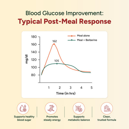 Holistic Berberine Complete Blood Sugar Support