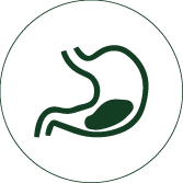 Promotes smooth digestion