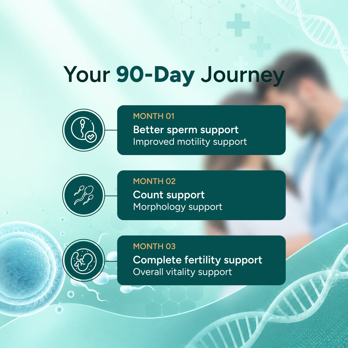 Promotional infographic for a fertility support product titled 'Your 90-Day Journey' on a dark teal background. The graphic outlines three monthly phases: Month 01 for better sperm support and improved motility support, Month 02 for count support and morphology support, and Month 03 for complete fertility support and overall vitality support.