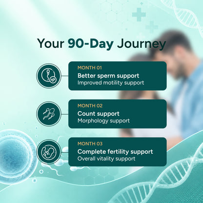 Promotional infographic for a fertility support product titled 'Your 90-Day Journey' on a dark teal background. The graphic outlines three monthly phases: Month 01 for better sperm support and improved motility support, Month 02 for count support and morphology support, and Month 03 for complete fertility support and overall vitality support.