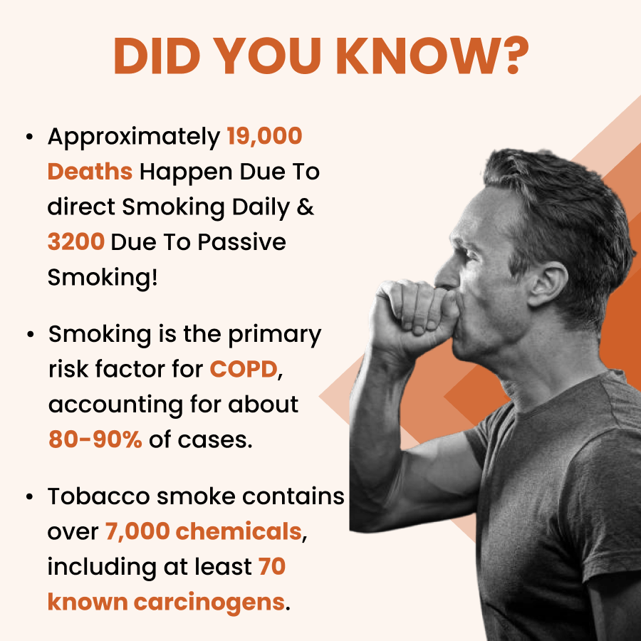 Ayurvedic Holo Lung Detox Tablets For Pollution - ZeroHarm