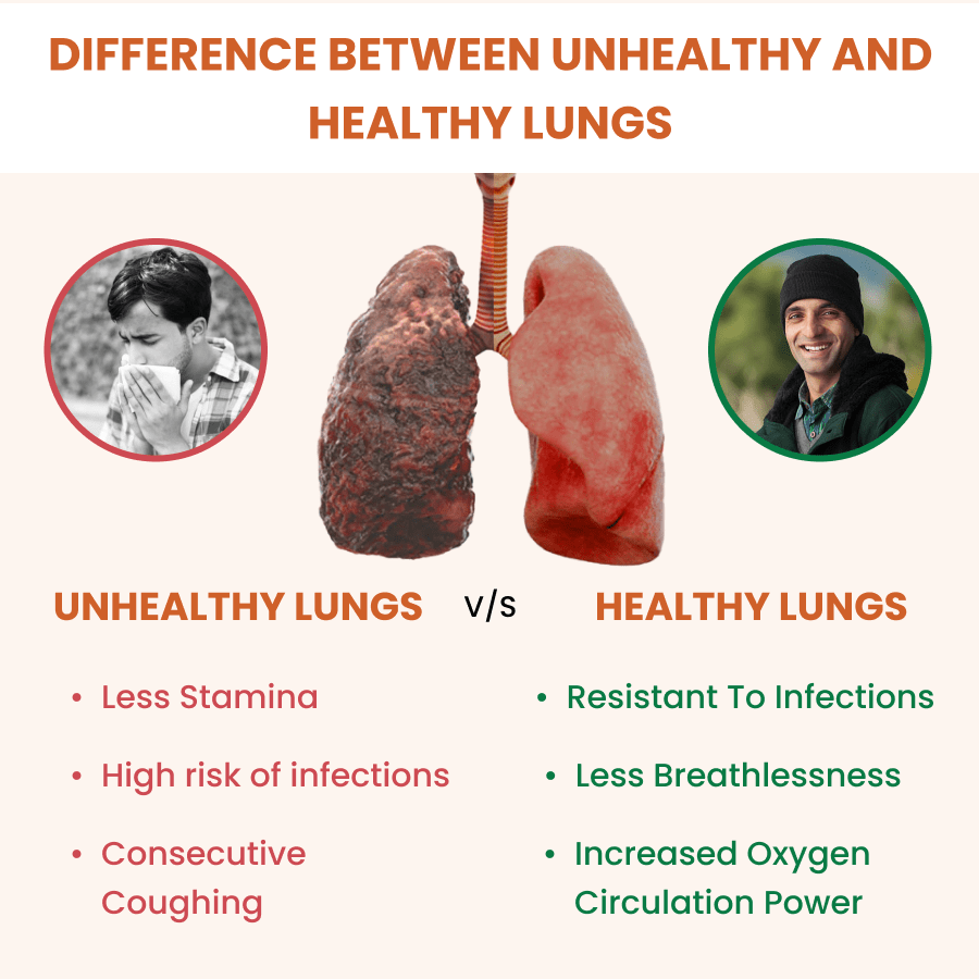 Ayurvedic Holo Lung Detox Tablets For Pollution - ZeroHarm