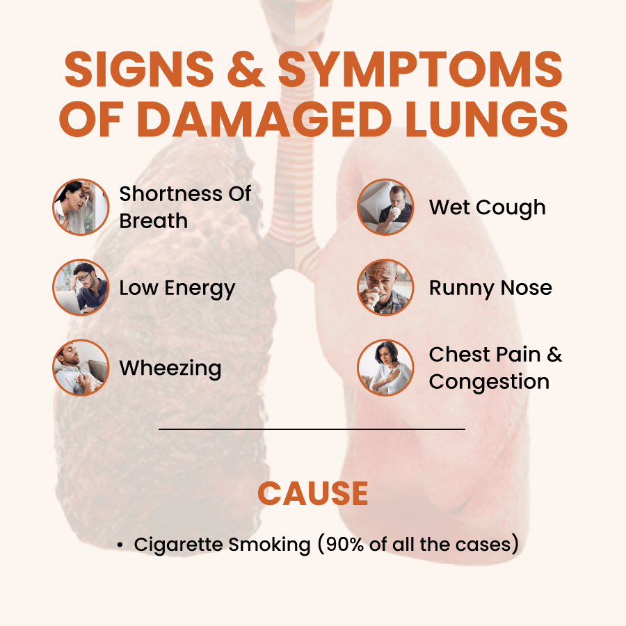 Ayurvedic Holo Lung Detox Tablets For Pollution - ZeroHarm