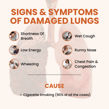 Ayurvedic Holo Lung Detox Tablets For Pollution - ZeroHarm