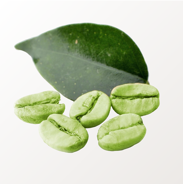 Green Coffee Bean