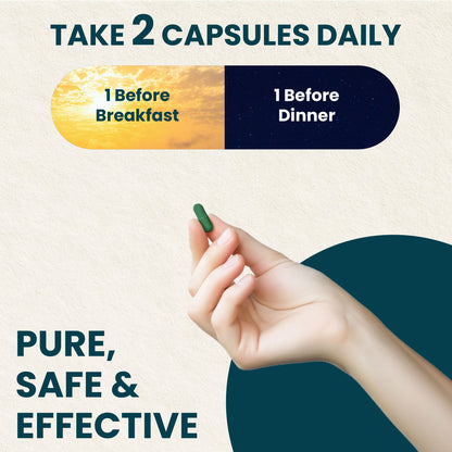 Gut Army Prebiotic & Probiotic Capsules