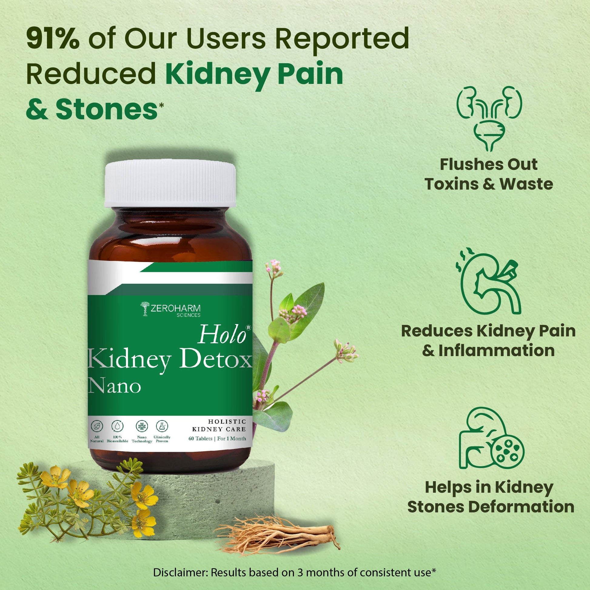Holo Kidney Detox Tablets - ZeroHarm
