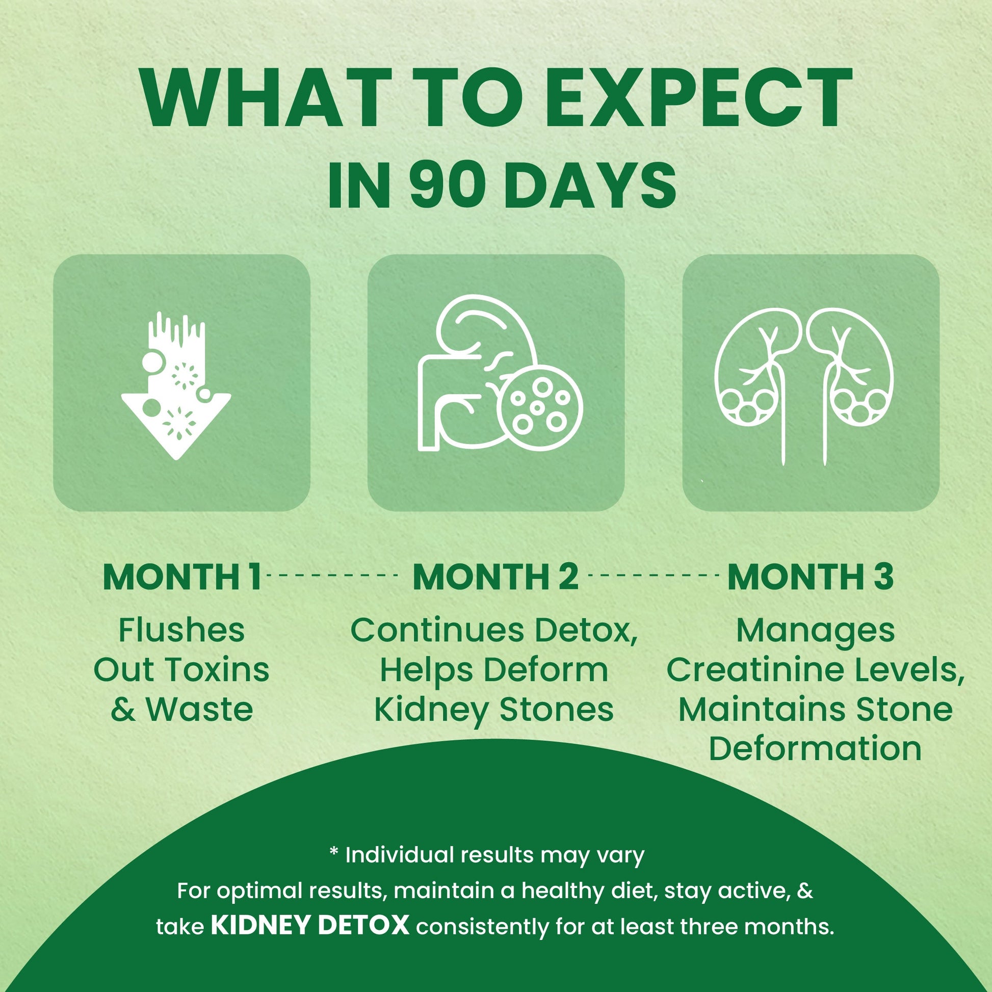 Holo Kidney Detox Tablets - ZeroHarm