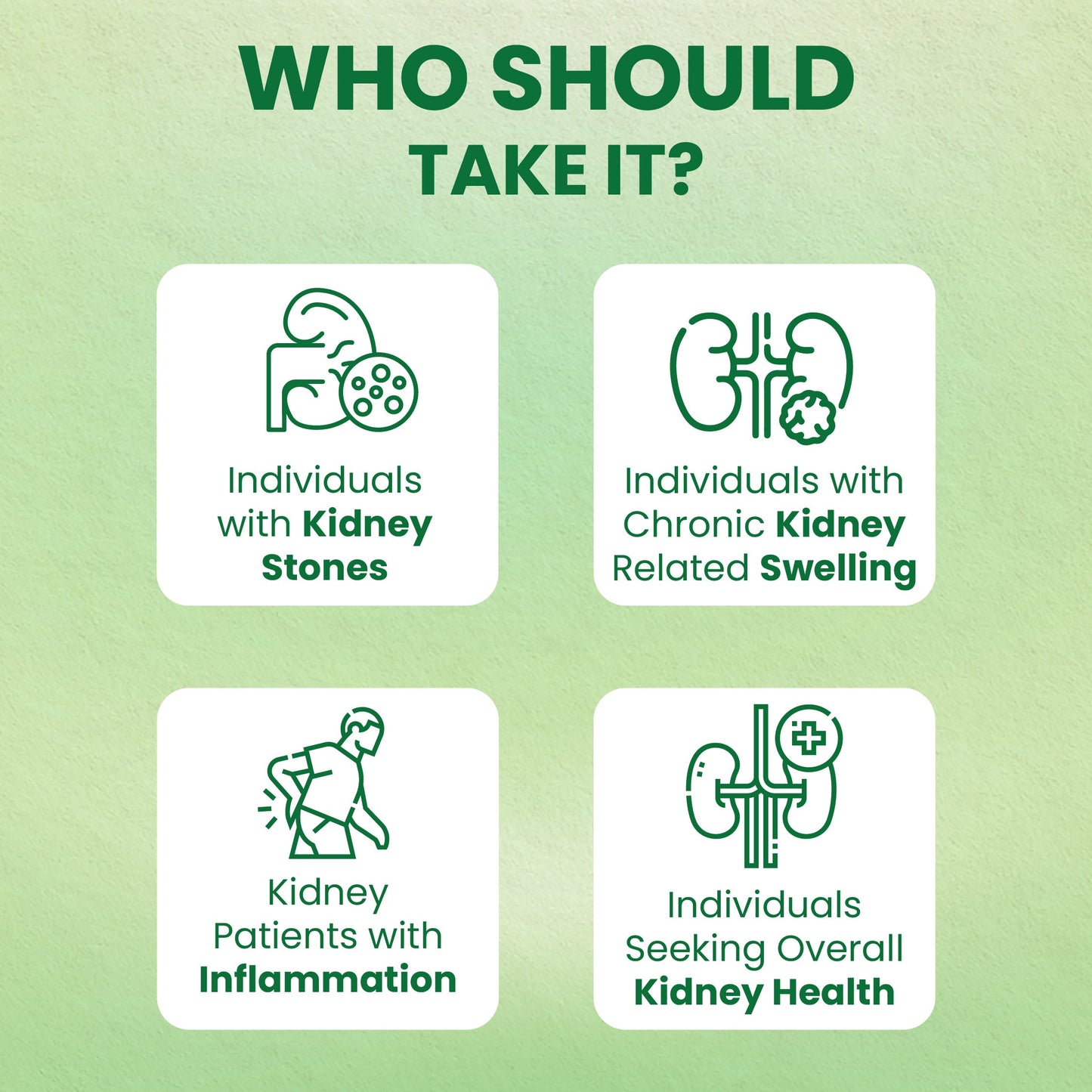 Holo Kidney Detox Tablets - ZeroHarm