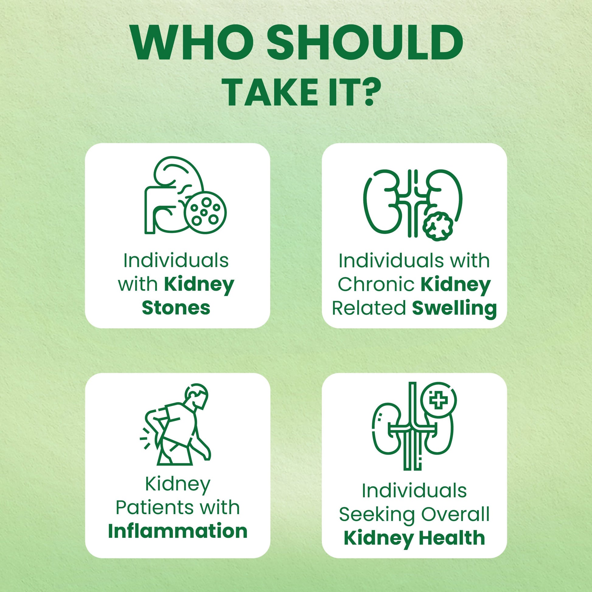 Holo Kidney Detox Tablets - ZeroHarm