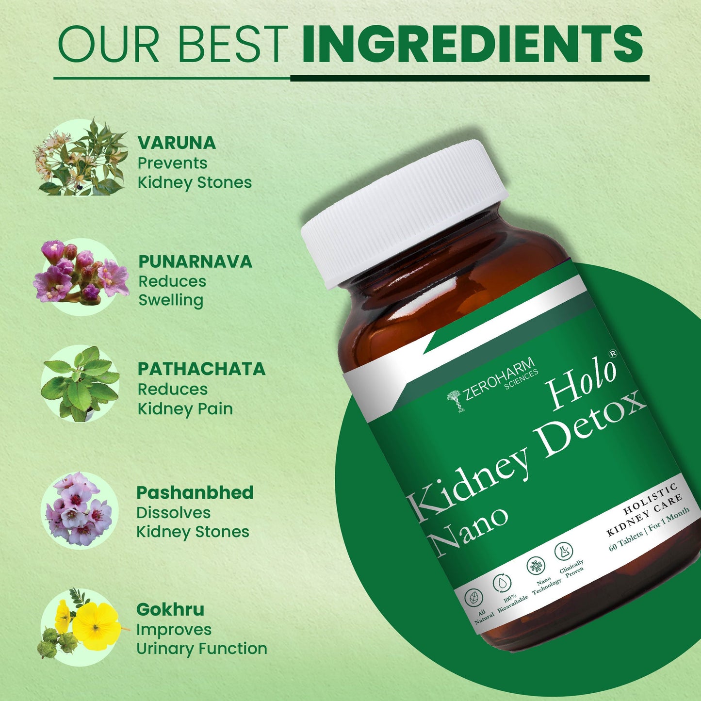 Holo Kidney Detox Tablets - ZeroHarm