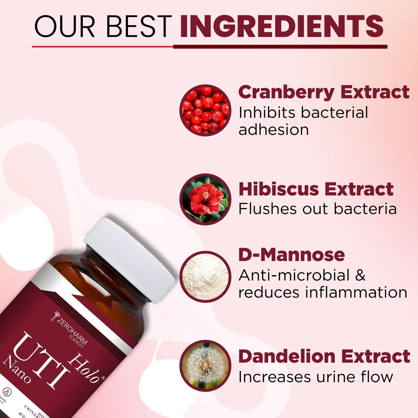 Holo UTI (Urinary Tract Infection) Tablets - ZeroHarm