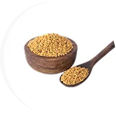 Fenugreek