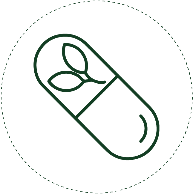 Plant Based Multivitamins