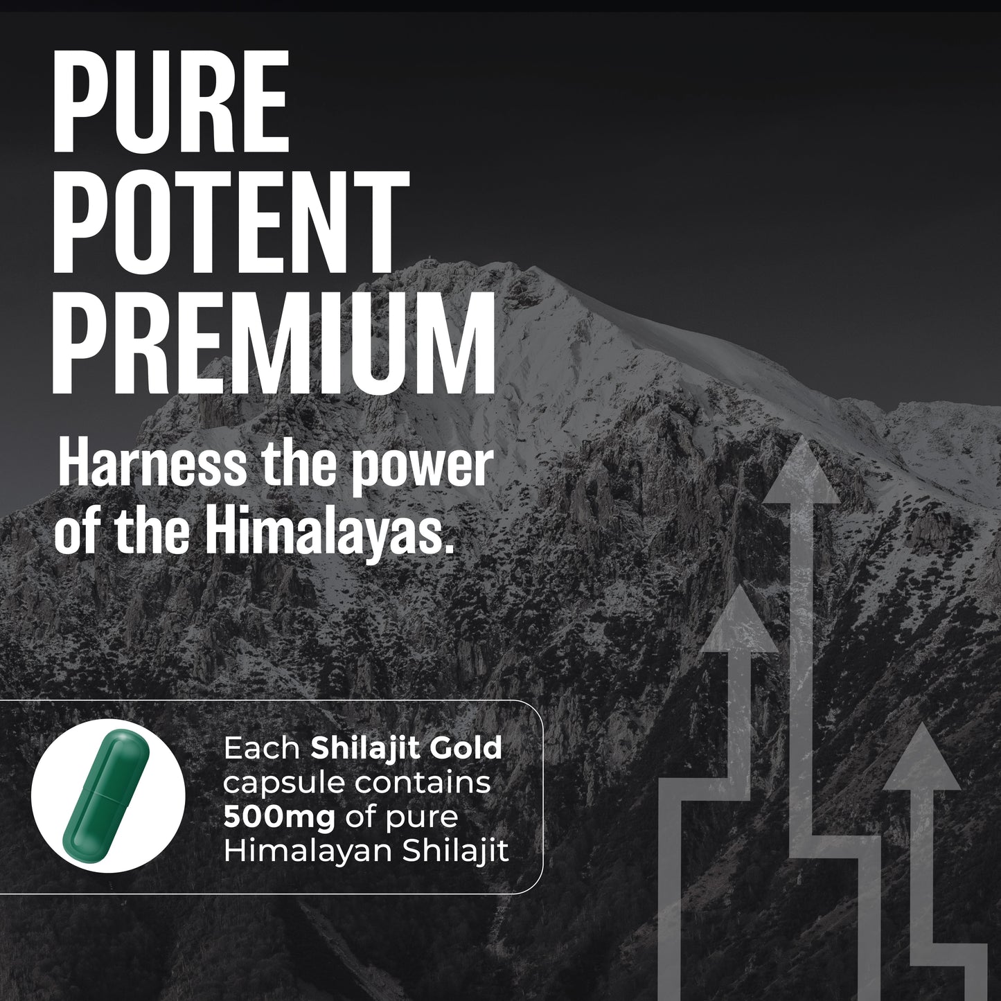 Pure Shilajit Gold Capsules - Zeroharm