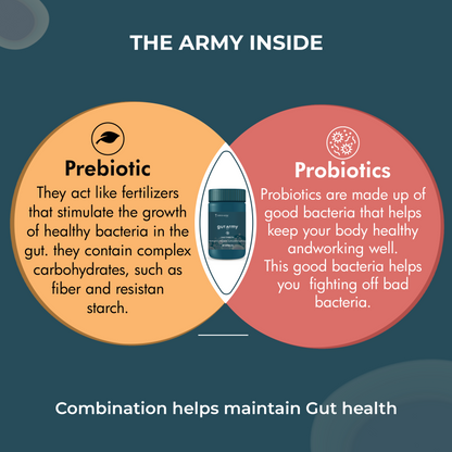 gut health supplements made with the combination of both prebiotic and probiotics