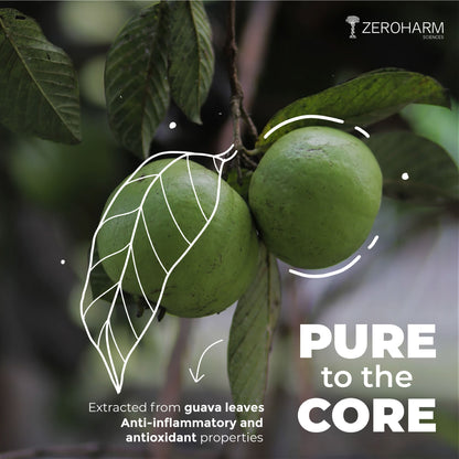zinc supplements made with guava leaves extract