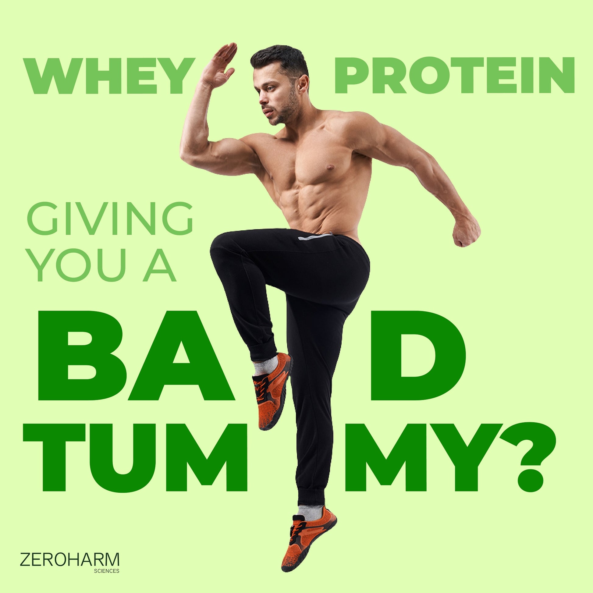 ashwagandha probiotic will help when a whey protein giving you(male athlete) a bad tummy